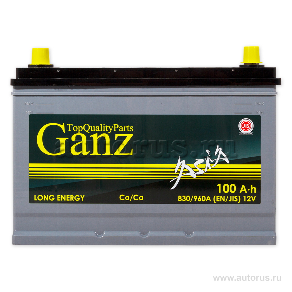 Аккумулятор GANZ ASIA 100 А/ч 304x173x220 EN780 GAА1001 GANZ GAА1001