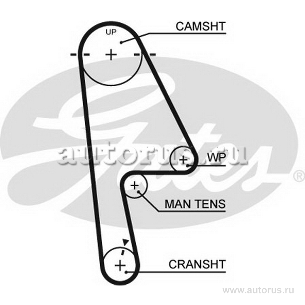 Ремень ГРМ GATES 5529XS
