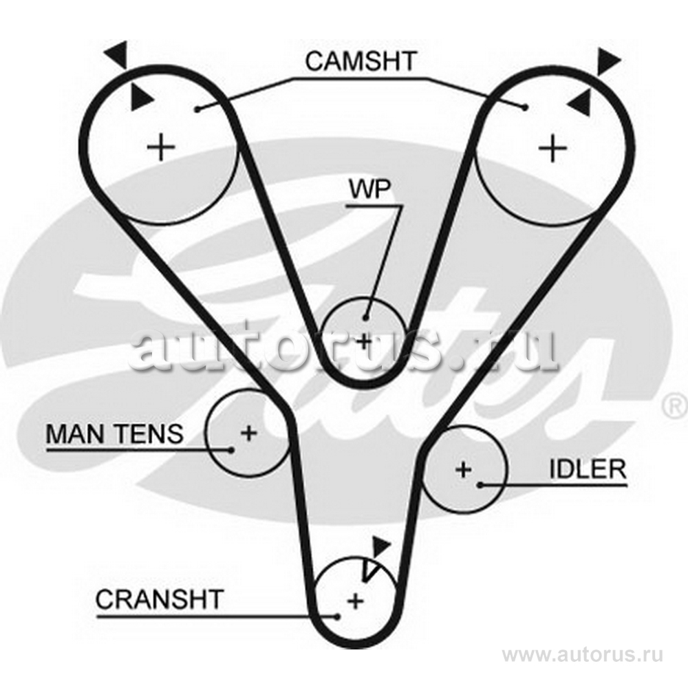 Ремень ГРМ GATES 5555XS