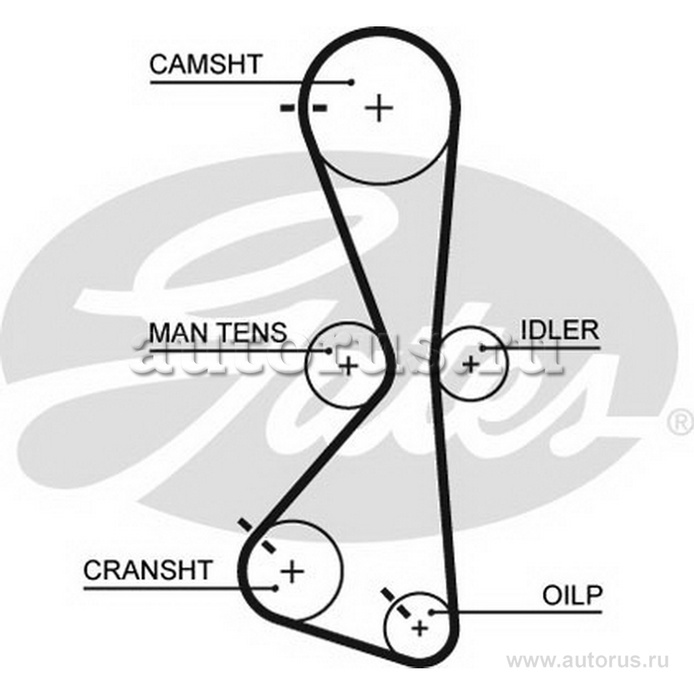 Ремень ГРМ GATES 5609XS