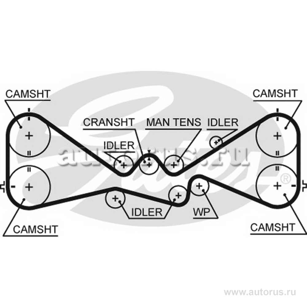Ремень ГРМ GATES 5612XS