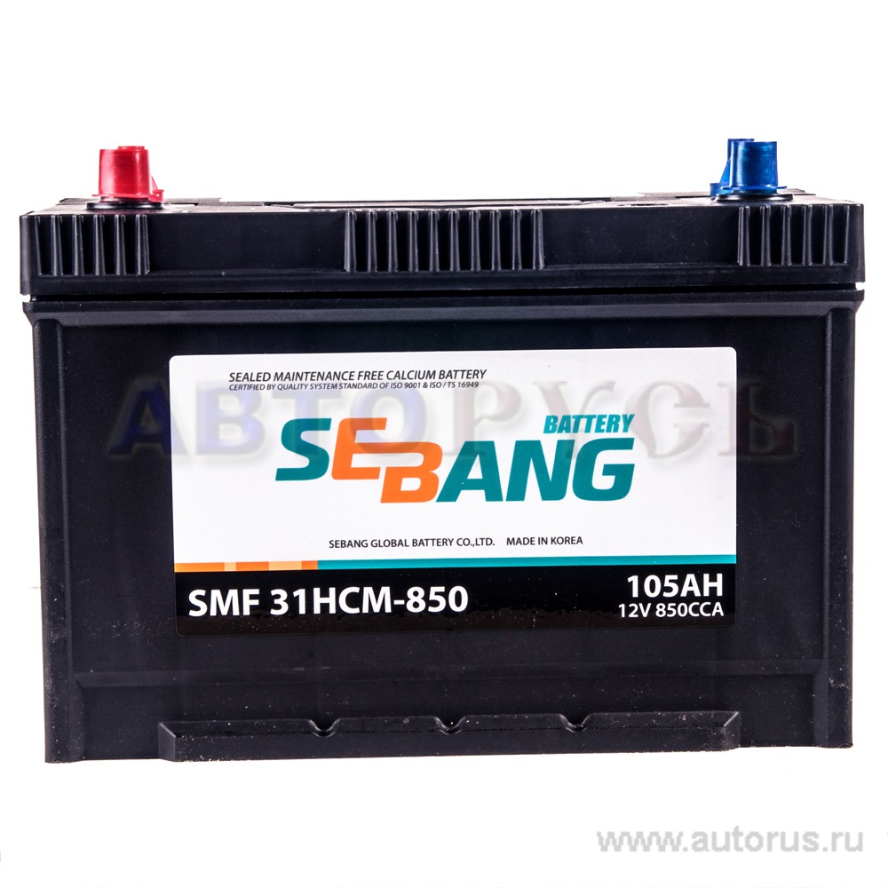 Аккумулятор SEBANG MARINE 105 А/ч 850 прямая L+ EN 850A 330x173x240 31HCM-850 31HCM-850