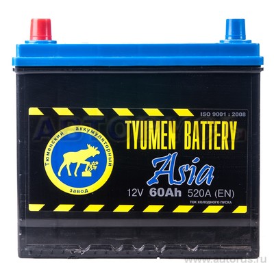 Аккумулятор TYUMEN BATTERY ASIA 60 А/ч прямая L+ EN 520A 232x173x223 6CT60L ASIA 6CT-60L ASIA1