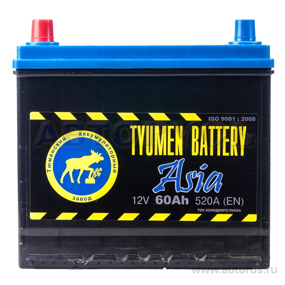 Аккумулятор TYUMEN BATTERY ASIA 60 А/ч прямая L+ EN 520A 232x173x223 6CT60L ASIA 6CT-60L ASIA1