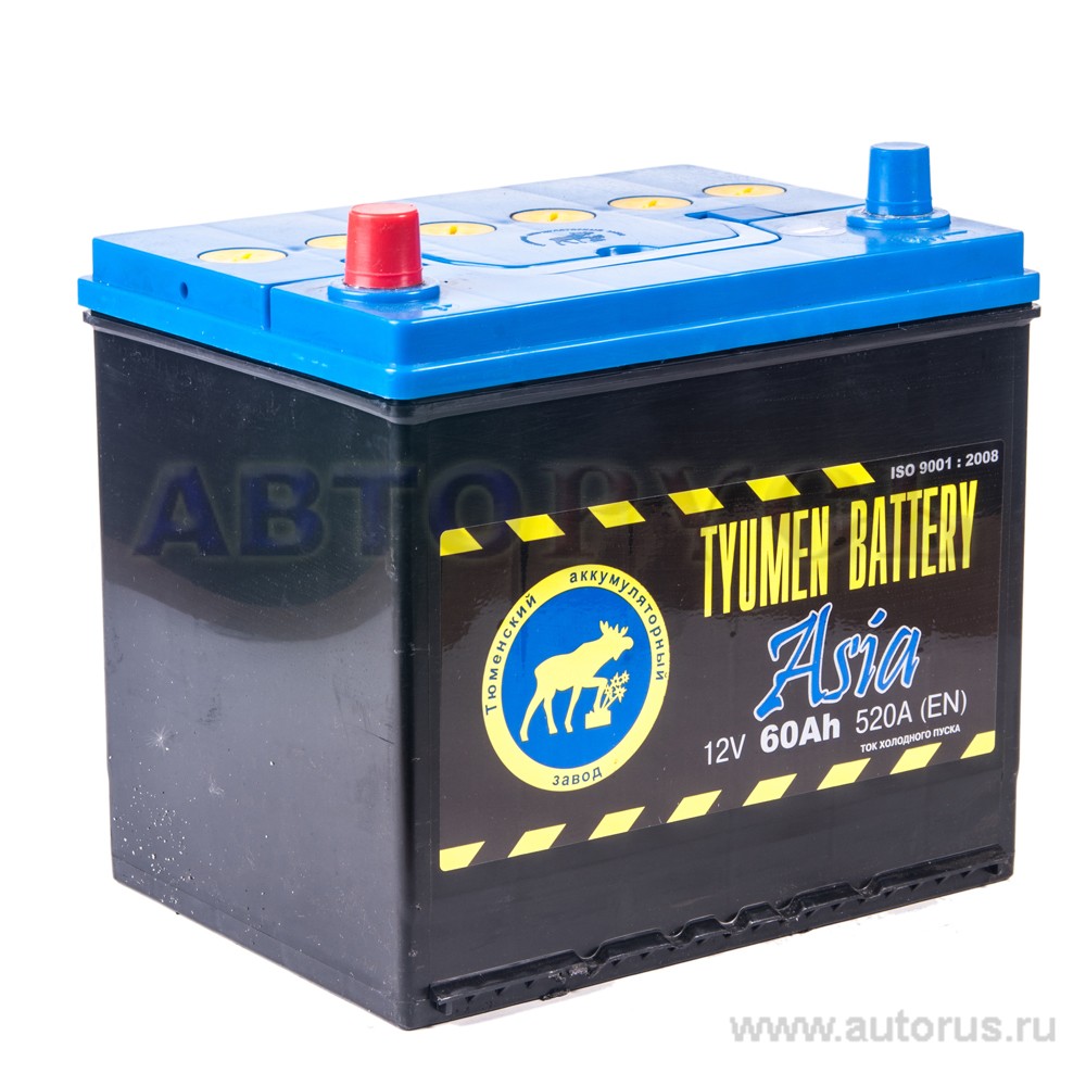 Аккумулятор TYUMEN BATTERY ASIA 60 А/ч прямая L+ EN 520A 232x173x223 6CT60L ASIA 6CT-60L ASIA1