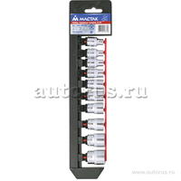 Набор торцевых головок 3/8 , 6-19 мм, 10 предметов