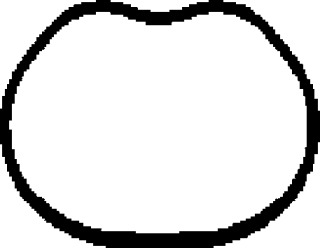 Головка цилиндра CORTECO для MAZDA 2 (DY) 1.4