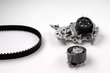 Водяной насос HEPU для RENAULT CLIO III (BR0/1, CR0/1) 1.2 16V Hi-Flex (BR1U, CR1U)