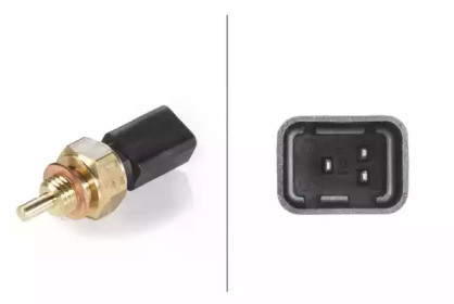 Электроника двигателя HELLA для NISSAN KUBISTAR (X76) 1.2