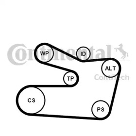 Комплект ручейковых ремней CONTITECH для BMW 3 Compact (E36) 318 ti