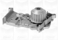 Водяной насос / прокладка GRAF для NISSAN KUBISTAR (X76) 1.6 16V
