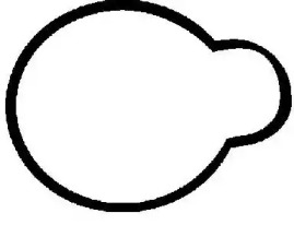 Прокладка / уплотнит. кольцо впускного/выпускного коллектора GLASER для DAEWOO MUSSO (FJ) 3.2 4x4