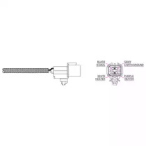 Приготовление смеси DELPHI для KIA OPIRUS (GH) 3.5