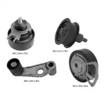 Дополнительные работы DELPHI для VW POLO (6N2) 1.4 16V