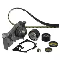 Водяной насос DELPHI для RENAULT CLIO III (BR0/1, CR0/1) 1.4 16V