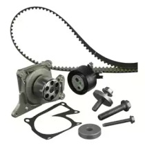 Водяной насос DELPHI для RENAULT CLIO III (BR0/1, CR0/1) 1.5 dCi