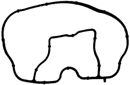 Головка цилиндра VICTOR REINZ для FORD FIESTA V Van 1.3