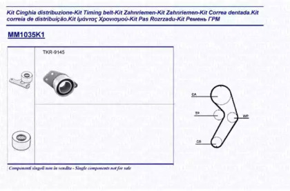 Запчасти для ТО MAGNETI MARELLI для RENAULT KANGOO (KC0/1_) 1.4 (KC0C, KC0H, KC0B, KC0M)
